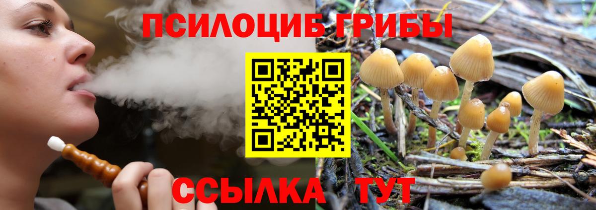 Псилоцибиновые грибы MAGIC MUSHROOMS  Псилоцибиновые грибы Magic Shrooms  Первоуральск  Вход с VPN 
