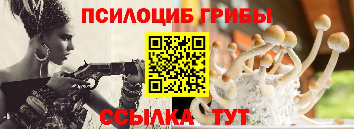 Галлюциногенные грибы Cubensis Первоуральск
